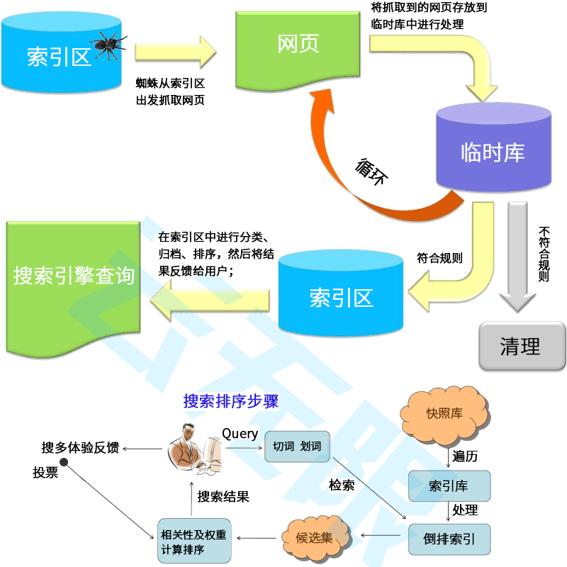 оSEO
